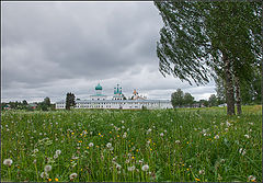 photo "in dandelions"