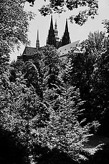photo "Kафедра́льный и деревья"