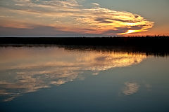 photo "***"