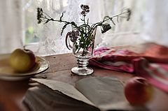 photo "***"