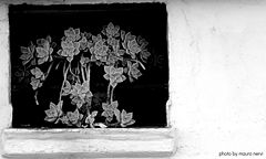 фото "in the little window"