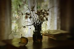 photo "***"