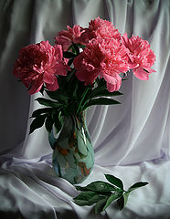фото "С пионами."