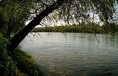 photo "***"