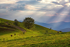 фото "Провожая день"