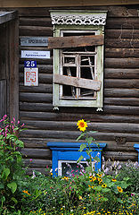 photo "***"