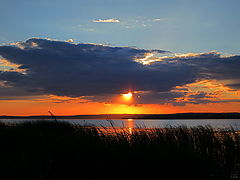 photo "***"