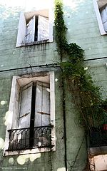фото "windows"