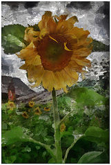 photo "***"