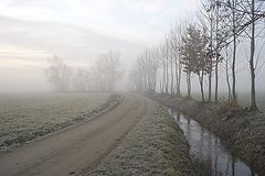 фото "***"