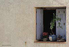 фото "the window"