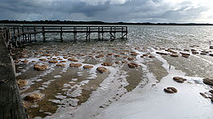 photo "Lake Clifton"