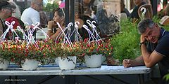 фото "the flowers seller"