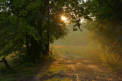 photo "***"