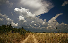 photo "***"