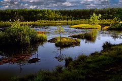 фото "На Плавучем озере"