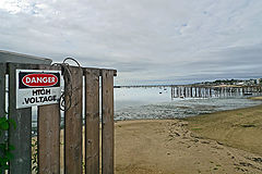 photo "Danger!"