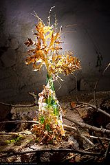 photo "***"