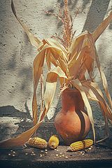 photo "***"