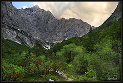 фото "Альяжев Дом"