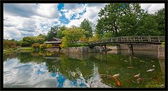 фото "Japanse tuin Hasselt"