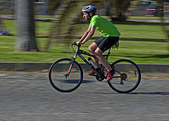 photo "Panning"
