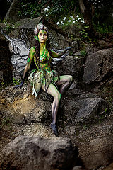 photo "The Wood Fairy"