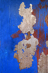 photo "***"