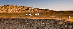 фото "In the desert"