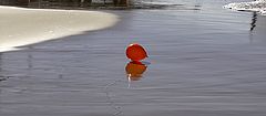 photo "The summer is over ..."