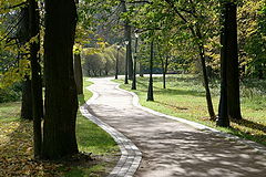 photo "Morning"