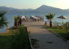 photo "***"