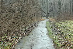 photo "The anticipation of snow"