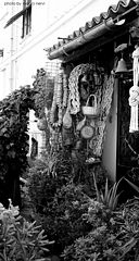 photo "the corner"