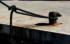 photo "in the port"