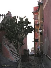 photo "lane in Boccadasse, Genoa"