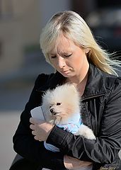 photo "Lady with the Dog"