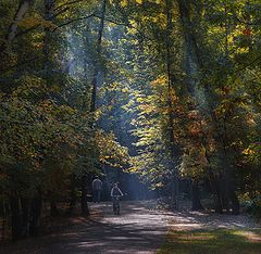 фото "Солнечная дымка..."