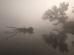photo "***"