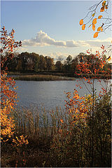 photo "Last days of September."