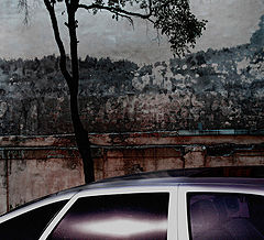 photo "***"
