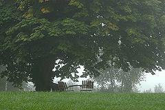 photo "dimma"