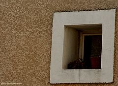 photo "window"