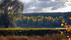 photo "Autumn etude"