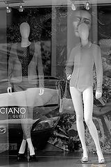 photo "Showcase. Lifestyle"