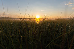 photo "***"