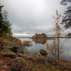photo "***"