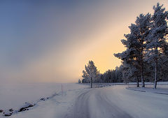 фото "Холодное солнце"