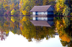 фото "Reflections of Autumn"