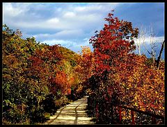 фото "Way to the light..."
